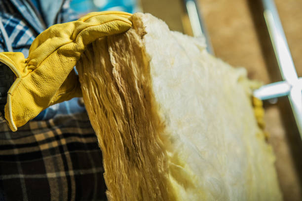 Best Specialized Insulation Services in Blytheville, AR