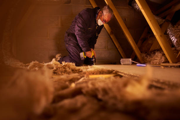 Types of Insulation We Offer in Blytheville, AR